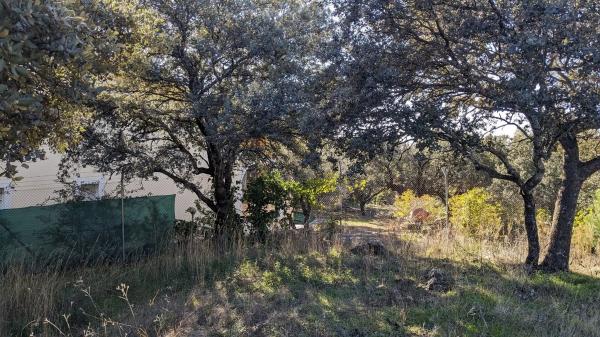 Terreno en calle Veinticuatro, 5