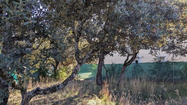 Terreno en calle Veinticuatro, 5