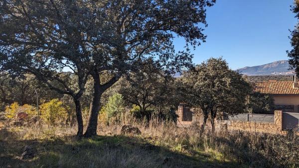 Terreno en calle Veinticuatro, 5