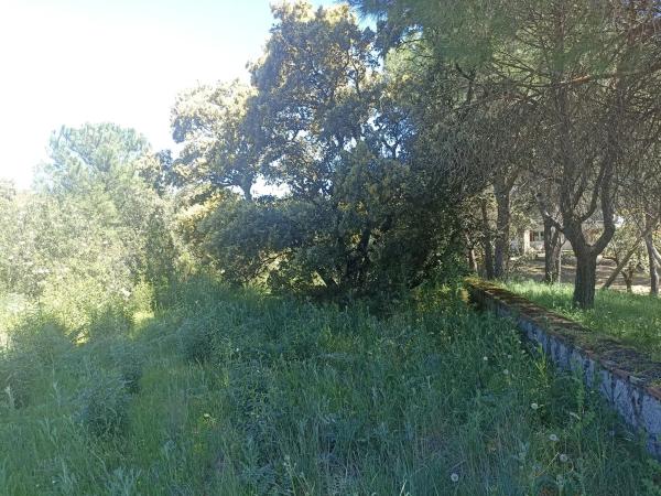 Terreno en calle San Gregorio, 4