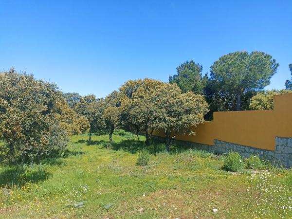 Terreno en calle Virgen del Pino, 41