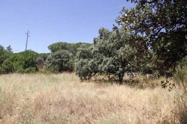 Terreno en calle San Gregorio, 4