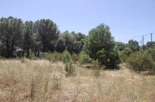 Terreno en calle San Gregorio, 4