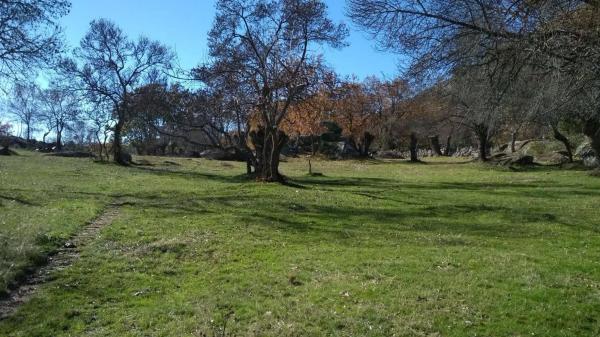 Terreno en prado del chicharron s/n