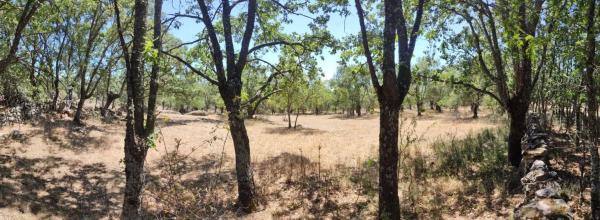 Terreno en prado del chicharron s/n