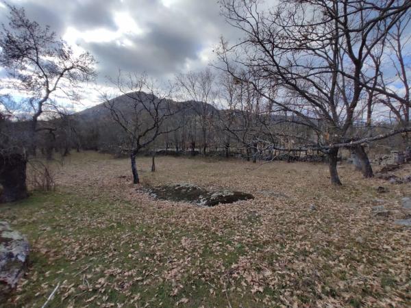 Terreno en prado del chicharron s/n