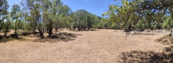 Terreno en prado del chicharron s/n