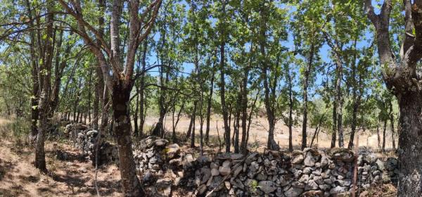 Terreno en prado del chicharron s/n