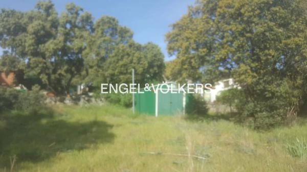 Terreno en Las Zorreras - Monte Encinar