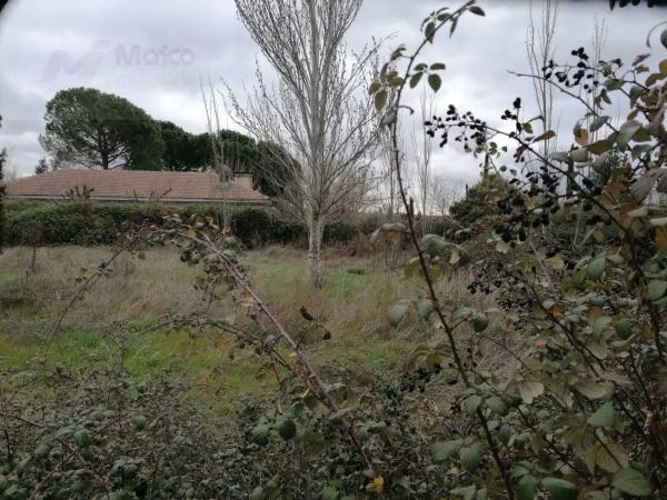 Terreno en Navalquejigo - Los Arroyos