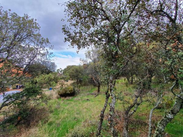 Terreno en calle el encinar, 22