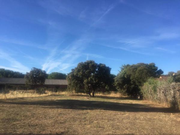 Terreno en calle de Poniente, 11