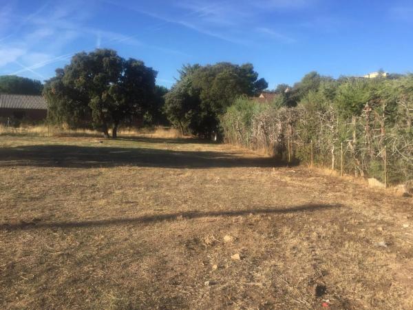 Terreno en calle de Poniente, 11
