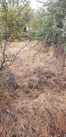 Terreno en calle Lugo, 272