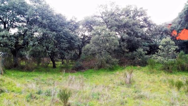 Terreno en avenida de los cierros, 12