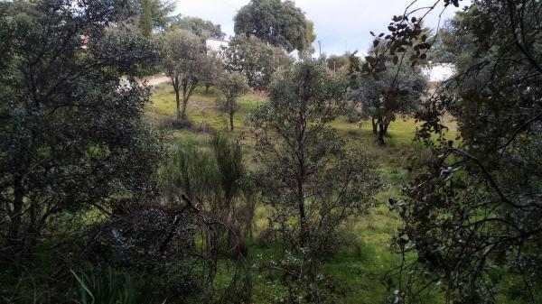 Terreno en avenida de los cierros, 12
