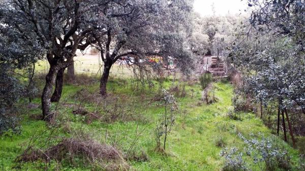 Terreno en avenida de los cierros, 12