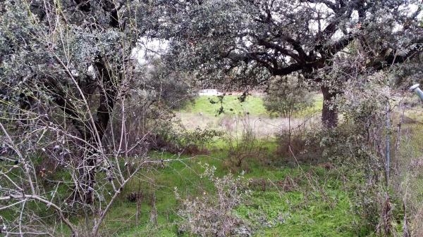 Terreno en avenida de los cierros, 12