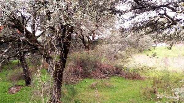 Terreno en avenida de los cierros, 12