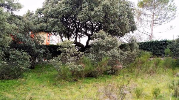 Terreno en avenida de los cierros, 12