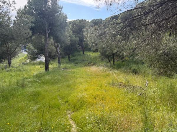 Terreno en calle de los Llanos