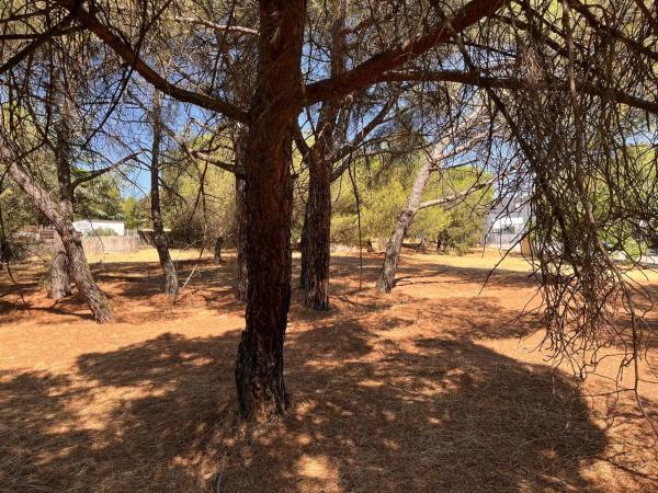 Terreno en calle González de Rueda