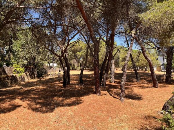 Terreno en calle González de Rueda