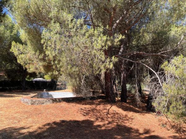 Terreno en calle González de Rueda