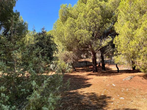 Terreno en calle González de Rueda