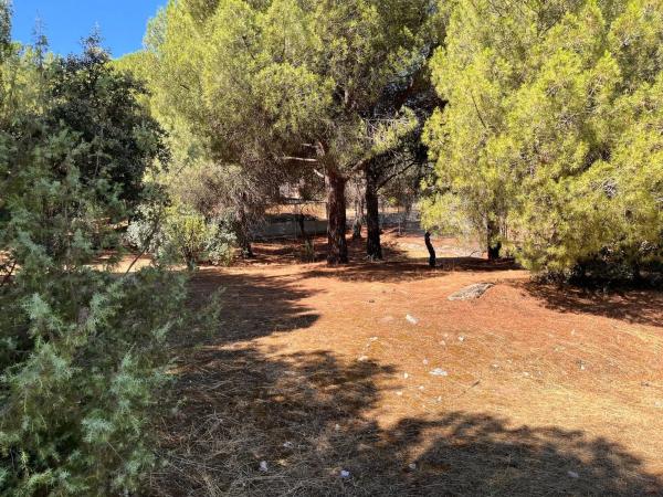 Terreno en calle González de Rueda