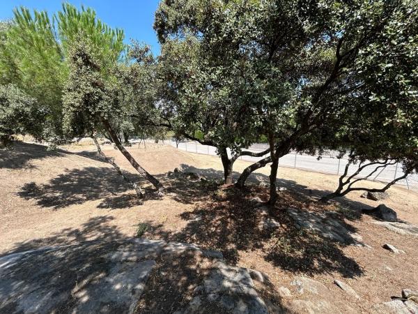 Terreno en calle Puerto de la Cruz Verde, 4