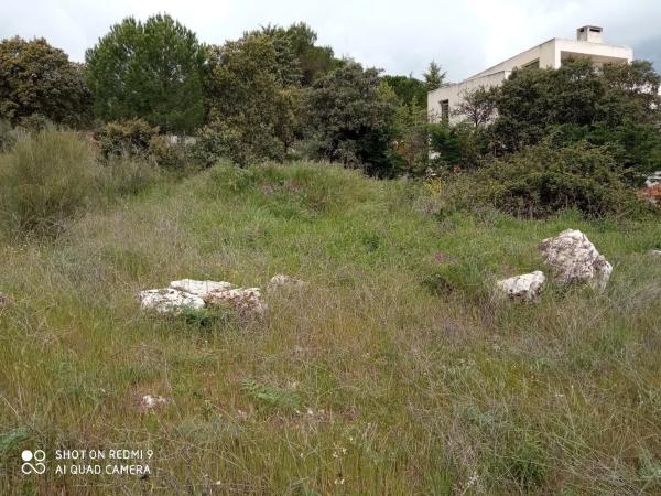 Terreno en Puerto de la Cruz Verde, 12