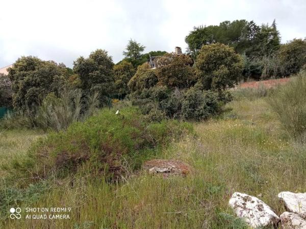 Terreno en Puerto de la Cruz Verde, 12