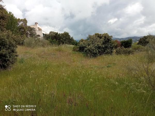 Terreno en Puerto de la Cruz Verde, 12