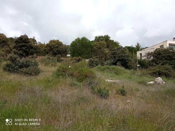 Terreno en Puerto de la Cruz Verde, 12