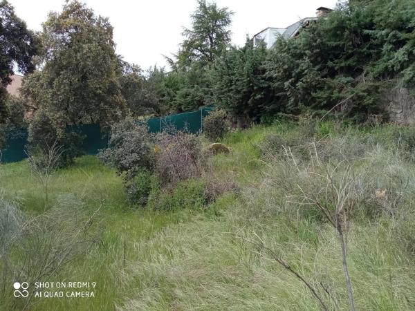 Terreno en Puerto de la Cruz Verde, 12