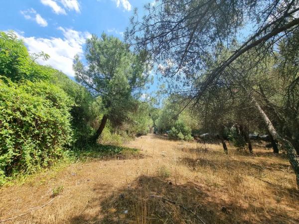 Terreno en Parquelagos - Puente Nuevo