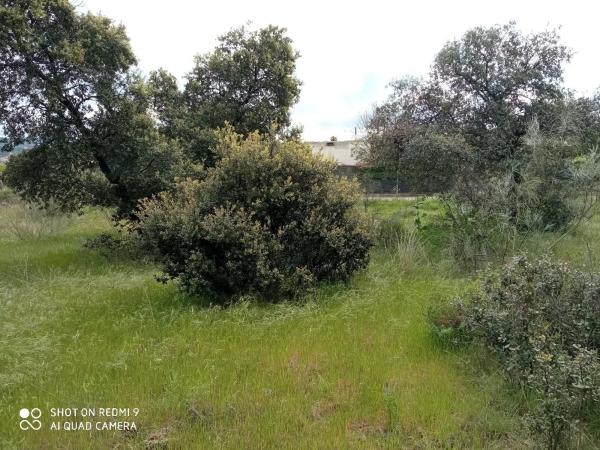 Terreno en Puerto de la Cruz Verde, 12