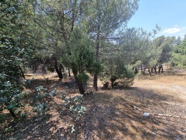 Terreno en Parquelagos - Puente Nuevo