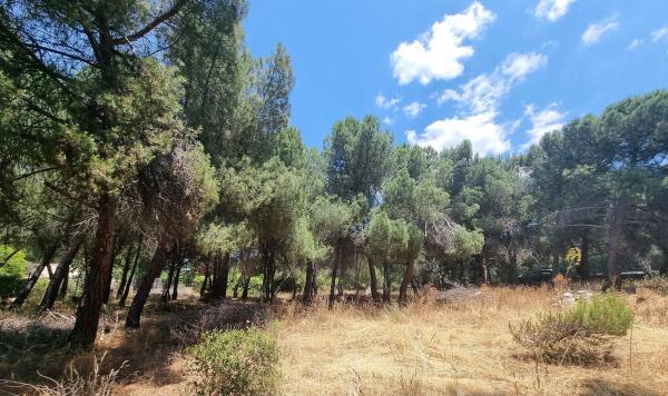 Terreno en Parquelagos - Puente Nuevo
