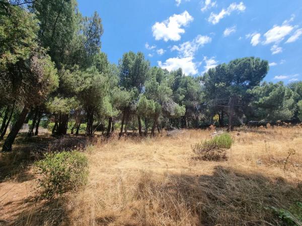 Terreno en Parquelagos - Puente Nuevo