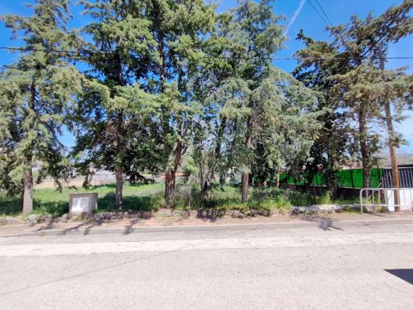 Terreno en calle Colonia España