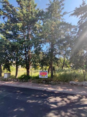 Terreno en calle Colonia España