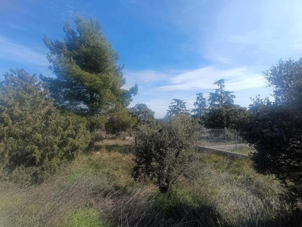 Terreno en camino de Navatornera, 14