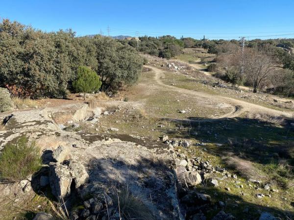 Terreno en Diseminado Finca Cañales, 2