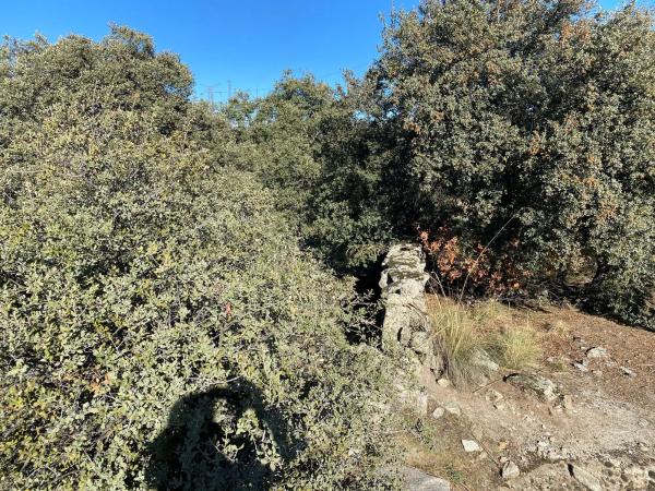 Terreno en Diseminado Finca Cañales, 2