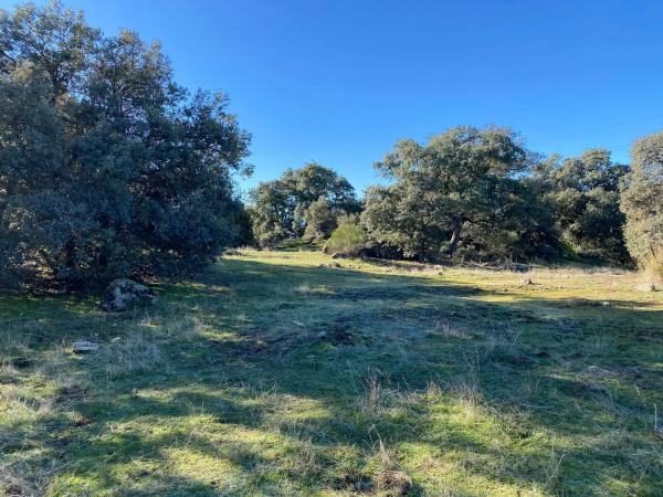 Terreno en Diseminado Finca Cañales, 2