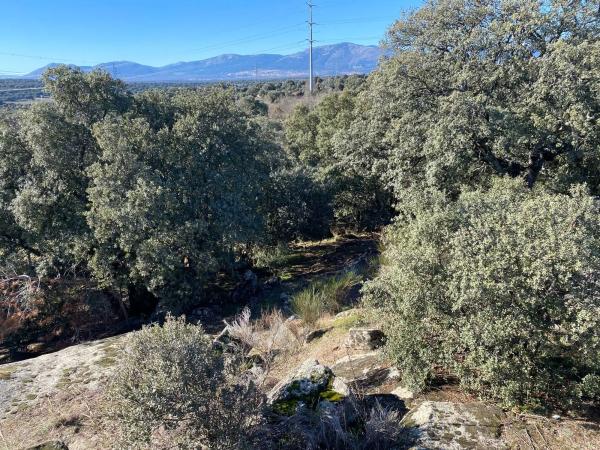 Terreno en Diseminado Finca Cañales, 2
