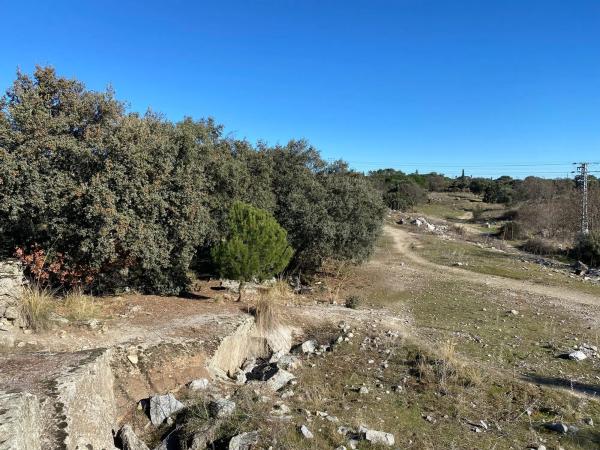 Terreno en Diseminado Finca Cañales, 2
