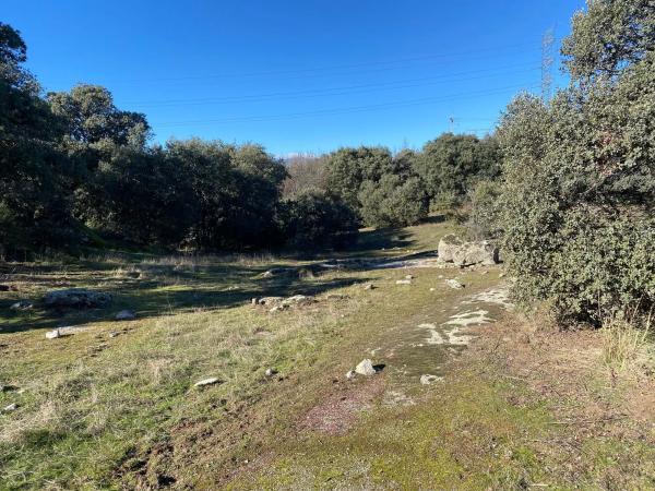 Terreno en Diseminado Finca Cañales, 2